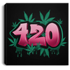 420 Art Canvas in Frame