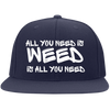 All You Need Is Flexfit Cap