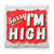 Sorry I'M High Pillow (Small)