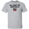 All I Want For Christmas T-Shirt