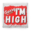 Sorry I'm High Pillow (Medium)